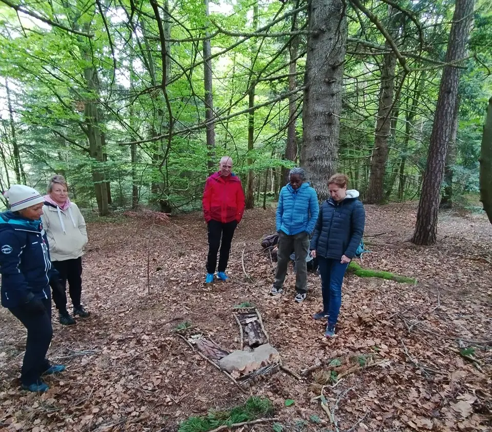 groupe en forêt faisant du landart