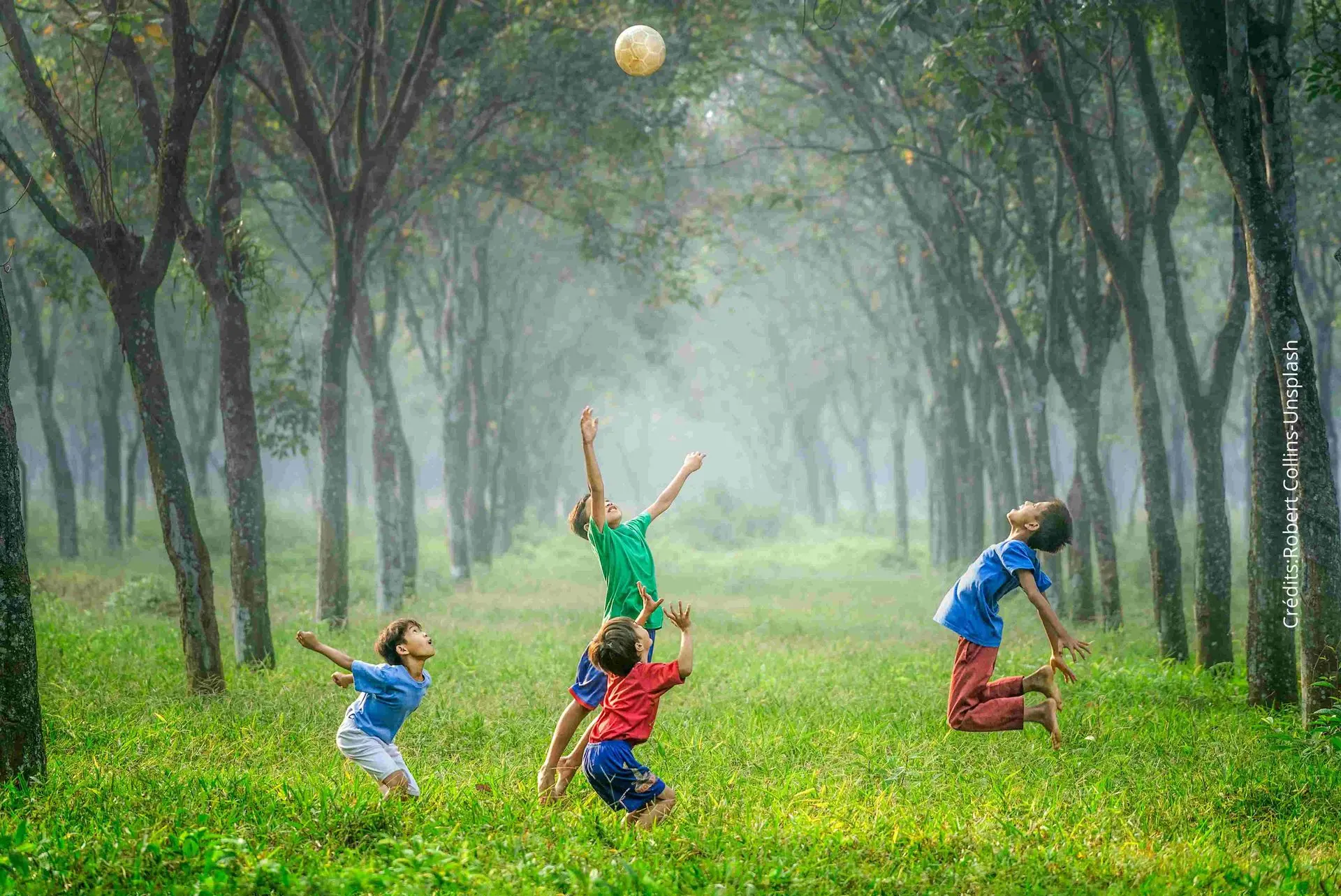 enfants qui jouent en forêt