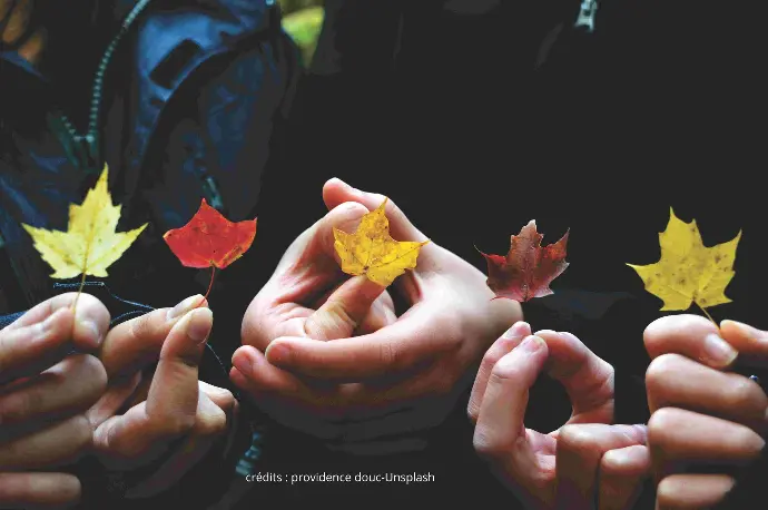 mains d'un groupe tenant une feuille d'arbre