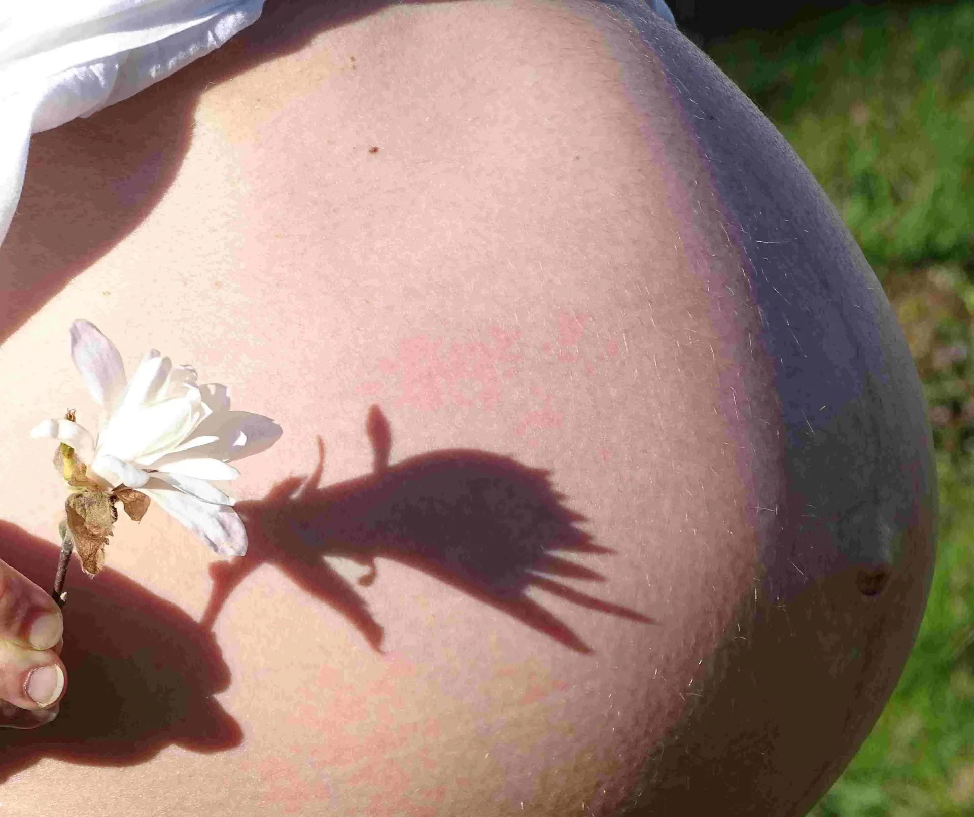 ventre de femme enceinte avec ombre de fleur